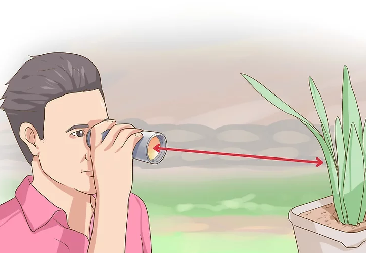 info-720-498 info-720-498