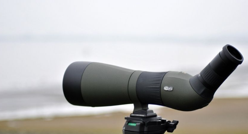 info-830-448 info-830-448